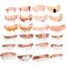 24 Pcs Halloween Dentures Horrific Teeth Fake Kids Toy Outfit Aldult Vampire Child