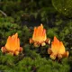 Ensemble d'ornements miniatures de gnomes ivres de jardin dégradés mini feu de joie nain intensifié