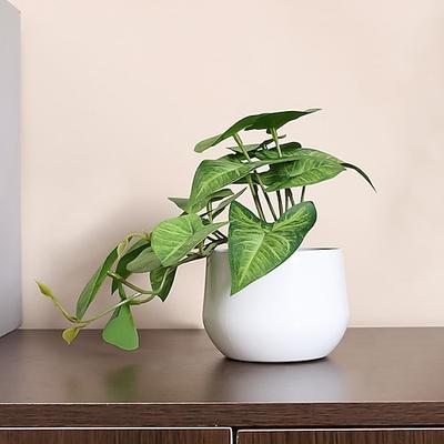 Améliorez la décoration de votre maison avec des arrangements réalistes de plantes artificielles en pot, ajoutant de la verdure et une beauté naturelle à n'importe quelle pièce.
