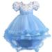 HBYJLZYG Princess Dresses For Girls Children Short Sleeve High-Low Tulle Dress Flower Mesh Tail Dress Net Gauze Dress Canonicals 5-14 Years