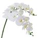 38 Inch Artificial Phalaenopsis Flowers Branches Real Touch Not Silk Orchids Flowers for Home Office Wedding Decoration of 2 White