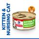 48x85g Chicken & Turkey Tender Mousse Kitten & Mother Science Plan Hill's Wet Cat Food
