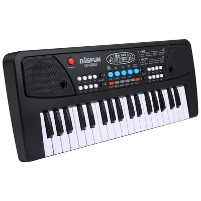 BIGFUN 37 Keys USB Electronic Organ Kids Electric Piano with Microphone Black Digital Music