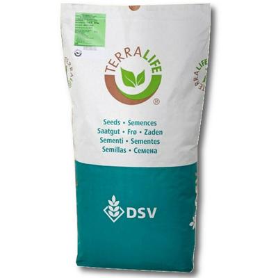 TerraLife N-Fixx 50 25 kg Zwischenfruchtmischung Allround Greening konform - DSV Image