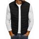 Homme Gilet matelassé Gilet du quotidien Sortie Décontractées Automne Poche Polyester Plein fermeture Éclair Mao Standard Noir Rouge bleu marine Gris Gilet