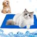 Tucker Murphy Pet™ Dog Cooling Mat | 0.2 H x 25.5 W x 19.6 D in | Wayfair 7EBCF6AF5C3B42098323749C10ED0DD1