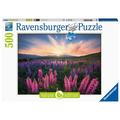 Ravensburger - Adult Jigsaw YPF5 Puzzle - 500 Piece Puzzle - Lupins (Nature Edition) - Adults and Children from 12 Years Old - Premium Jigsaw Puzzle - 17492