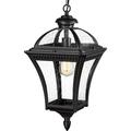 NANYUN 21-Inch Farmhouse Outdoor Pendant Light for Porch Modern Industrial Large Exterior Hanging Lantern Die-Cast Aluminum with Seeded Glass Black Finish ZX55H BK