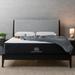 Full Medium Firm 12" Foam Mattress - Brooklyn Bedding 12 | 74 H x 53.5 W D in Wayfair BBMGHY1246