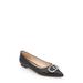 Ballerina Pointed Toe Flat