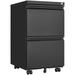 Black Metal 2-Drawer Locking File Cabinet for Home Office - Fits Letter/Legal/A4 Size - Mobile and Easy to Assemble