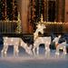 Dazzle Bright Christmas Outdoor YPF5 Decoration 3-Piece Lighted 2D Family with 60 L Pre-Lit Light Up Deer Set Waterproof Outdoor Christmas Deer Decorations for Yard Patio Lawn Garden Party