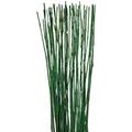 Natural Thin Bamboo Stakes About 6 Feet Tall - Pack Of 20 (Natural Green)