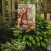 Red Barrel Studio® Maine Coon Cat by Debbie Cook 2-Sided Garden Flag, Polyester in Brown | 15 H x 11 W in | Wayfair