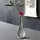 Home Decoration Zen Vase Transparent Glass Small Vase Countertop Vase Hydroponic Home Decoration