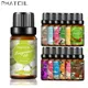 Phatoil-Bubble Gum Fragrance Essential Chateau Diffuseur Musc Blanc Brise de Mer Citron Huile de