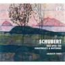 Trio Opus 100/Sonatensatz/Notturno (CD, 2020) - Busch Trio