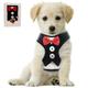 Harnais pour petit chiot amoureux avec nœud papillon gilet de chien réglable harnais de smoking en maille pour petit chien chaton parfait pour les vacances de mariage de fête