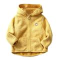 JSGEK Teddy Outwear Hoodies Kids Zip up Coat Toddlers Girls Boys Fleece Push Jacket Clearance Casual Soft Comfy Fall Warm Coat for Kids Solid Color Cute Yellow 3 Years