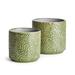 Birch Lane™ Holiday Handmade Ceramic Pot Planter Ceramic in Green | 6 H x 6.5 W x 6.5 D in | Wayfair 5359CB36319B44F3AB8DC6A7D3F18AA6