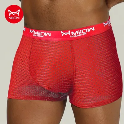 MiiOW Sexy Männer Boxer Shorts Unterwäsche Mesh Atmungs Eis Seide Männlichen Höschen Dessous Unterhose Boxershorts Plus Größe L-4XL 2022 Image
