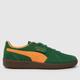 PUMA palermo trainers in green multi