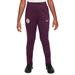 Youth Nike Burgundy Paris Saint-Germain 2024/25 Strike Training Pants