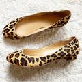 J. Crew Shoes | J Crew: Tan Brown Black Leopard Print Fur Almond Toe Business Kitten Heels Sz 7 | Color: Black/Brown | Size: 7
