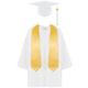 Blandoom Graduation Gown and Cap for Kids 2024 Graduation Gifts 2024 Preschool Nursery Ceremony Costume Sets With 2024 Shiny Graduation Gown Graduation Cap Fancy Dressing Up 4Pcs