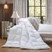 All-Season Goose Down Feather Fiber Comforter Duvet Insert, 100% Egyptian Cotton Cover