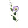 Set 12 Rami Artificiali Lisianthus 2 Fiori H 60 cm