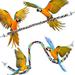 2 Pieces Toy Bird Rope Perches Climbing Rope Bungee Bird Toys Rope Perch Stand Cage Rope Comfy Perch Parrot Toys for Parrot Parakeets Cockatiels Conures (21.6inch 31.5inch)