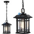 Outdoor Pendant Lights for Porch with Dusk to Dawn Sensor Black Exterior Hanging Lanterns Outdoor Farmhouse Outdoor Ceiling Light Fixture Waterproof Tempered Seed Glass Outdoor Chandelier 1Pack