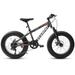 20 Inch Fat Tire Bike Mountain Bike with 7 Speed Dual Disc Brake Front Suspension High-Carbon Steel Frame Kids Mountain Bike Adjustable Commuter Bicycle for Adults and Youths Grey