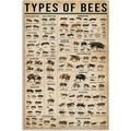 Jigsaw Puzzles 1000 Pieces for Adults Bee Types Bee Knowledge Bee Lover Honey Bee Lover Wooden Picture Puzzle for Youth Children Family Decor Funny Game Best Gift Preschool Toys