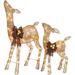 Light Up Doe & Fawn Glittering Deer 2-Piece Set | Christmas Lawn Decoration | Indoor/Outdoor | 2.8 & 2 Feet