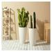 Luwei 28 Extra Large Planters for Indoor Plants Sets of 2 White Tall Planters Large Round Plant Pots Containers for Indoor and Outdoor Use Honeycomb Design