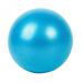 Lrun 25cm Pilates Yoga Balls Small PVC Inflatable Balance Fitness Gymnastic Ball for Children Pregnant Woman