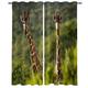 buyluhn Giraffe Blackout Curtains for Bedroom Living Room Green Eyelet Curtains 46 Width X 60 Inch Drop Patterned Thermal Window Treatments Soundproof Kitchen Curtains