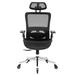 Latitude Run® Zienna Mesh Office Chair w/ Headrest | 46.6 H x 30.7 W x 30.7 D in | Wayfair 99B1111CD227471DA160D640138FCE0B