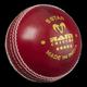 (Junior, Pink) Ram Cricket 5 Star Match Ball - Box of 6