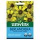 Unwins Grow Your Own Berlandiera Chocolate Daisy Cocoa Scent Seeds