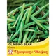 Thompson & Morgan Bean (Climbing French) Cobra 1 Seed Packet (70 Seeds)