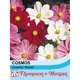 Thompson & Morgan Cosmos Gazebo Mixed 1 Seed Packet (100 Seeds)