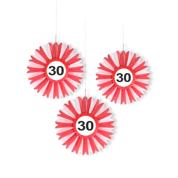 30. Geburtstag Verkehrsschild 3 Dekofächer Image