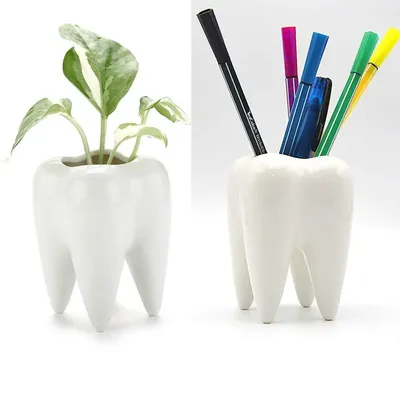 1Pcs Tooth Shaped Tabletop Ceramic Flowerpot Home Furnishings Cute Cactus Pot Flower Succulent Plant Nursery Basin Table Va L5L0