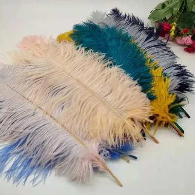 Wholesale 50Pcs/Lot Natural White Ostrich Feathers For Crafts 35-60CM Carnival Costumes Party Home
