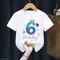 Cute Kids Clothes 6th Birthday Gift For Girls T Shirt Mermaid Princess Crown Print Tshirt Harajuku