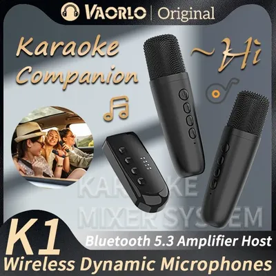 Wireless Karaoke Companion Bluetooth 5.3 Dynamic Microphone KTV DSP Mixer System 3.5MM AUX Type-C