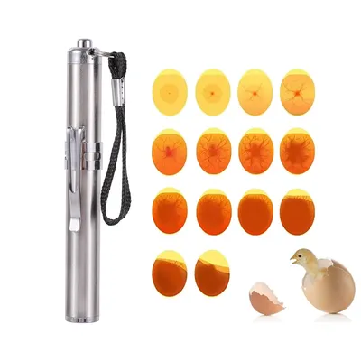 Livestock Incubator Light Inspection Stainless Steel Cold Light Flashlight LED Egg Detector Hatching Equipment Chicken Tools